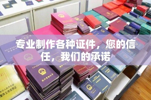 中正专业制作各种证件，您的信任，我们的承诺